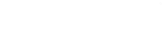 Vuzix