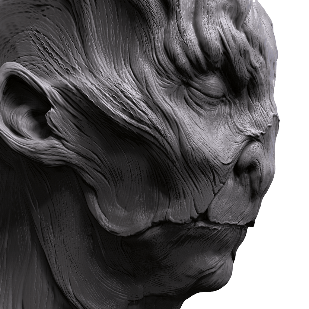 zbrush floating license cost